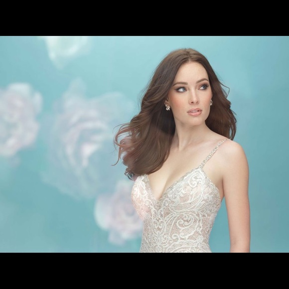 Allure Bridal Wedding Gown - Picture 7 of 13